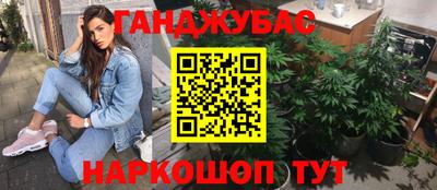 ГАЛЛЮЦИНОГЕННЫЕ ГРИБЫ Кингисепп