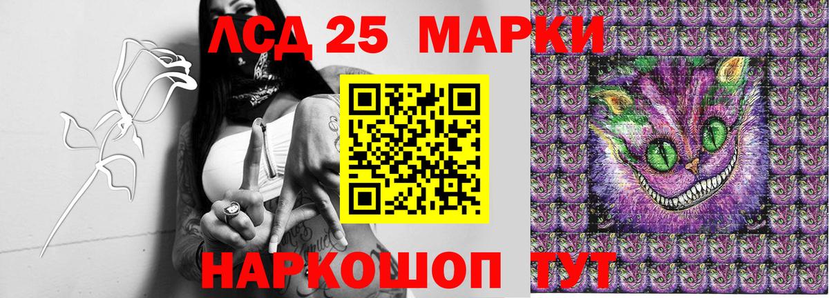 купить наркотики цена  Наркотические марки 1,5мг  Вход с VPN  Королёв  Наркотические марки 1,5мг 
