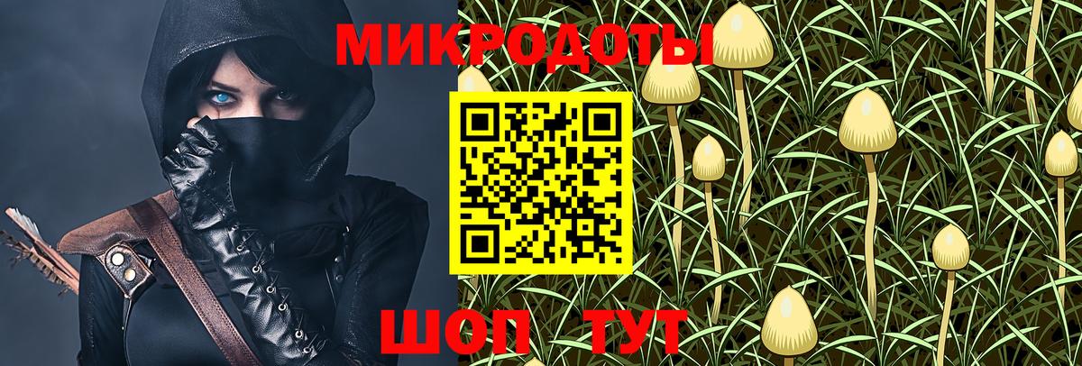 Псилоцибиновые грибы прущие грибы  Вход с VPN  Королёв 