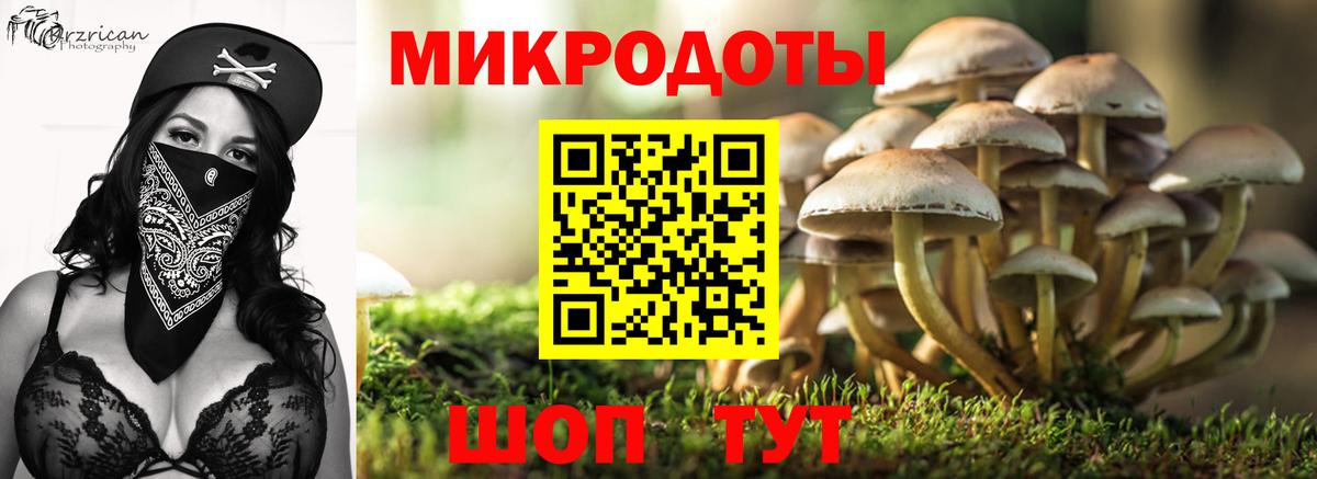 Псилоцибиновые грибы Psilocybine cubensis Королёв