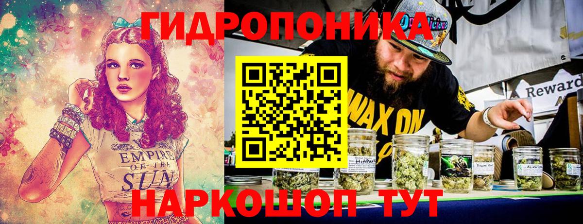 Бошки марихуана Bruce Banner Королёв
